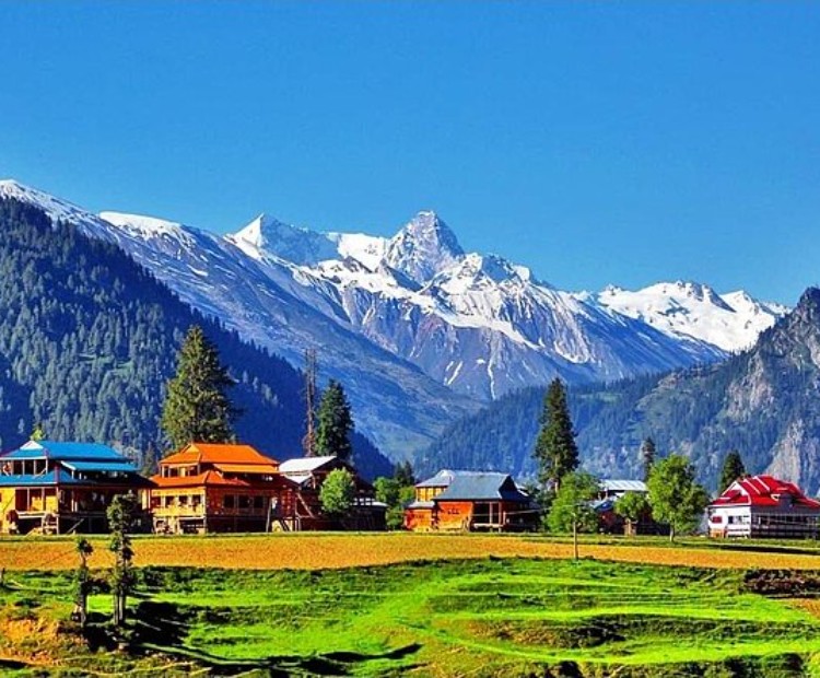 Kashmir Bliss Kashmir Bliss