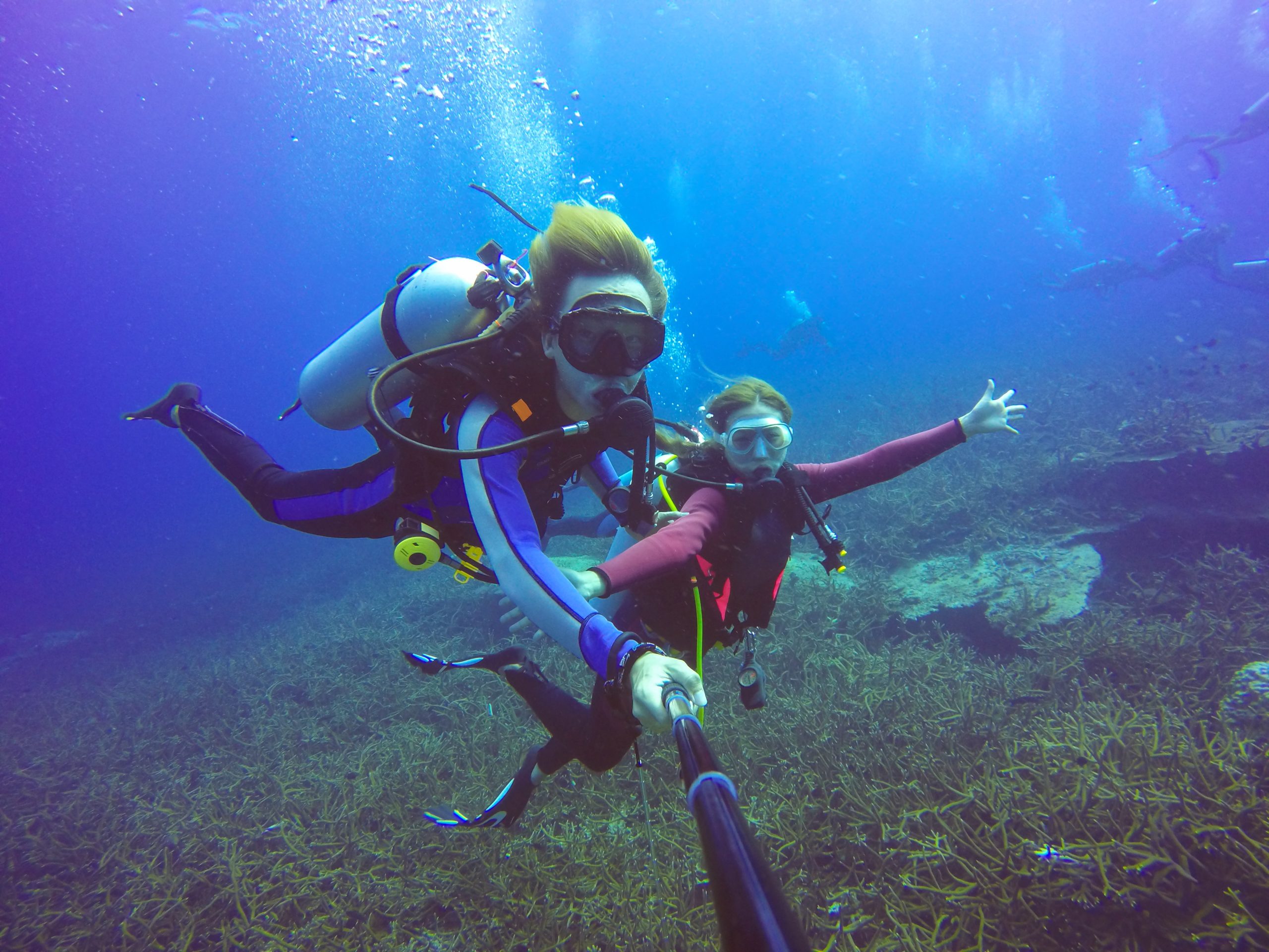 Exploring the Depths – Scuba Diving Adventures in Havelock with Your Ultimate Andaman Tour Package