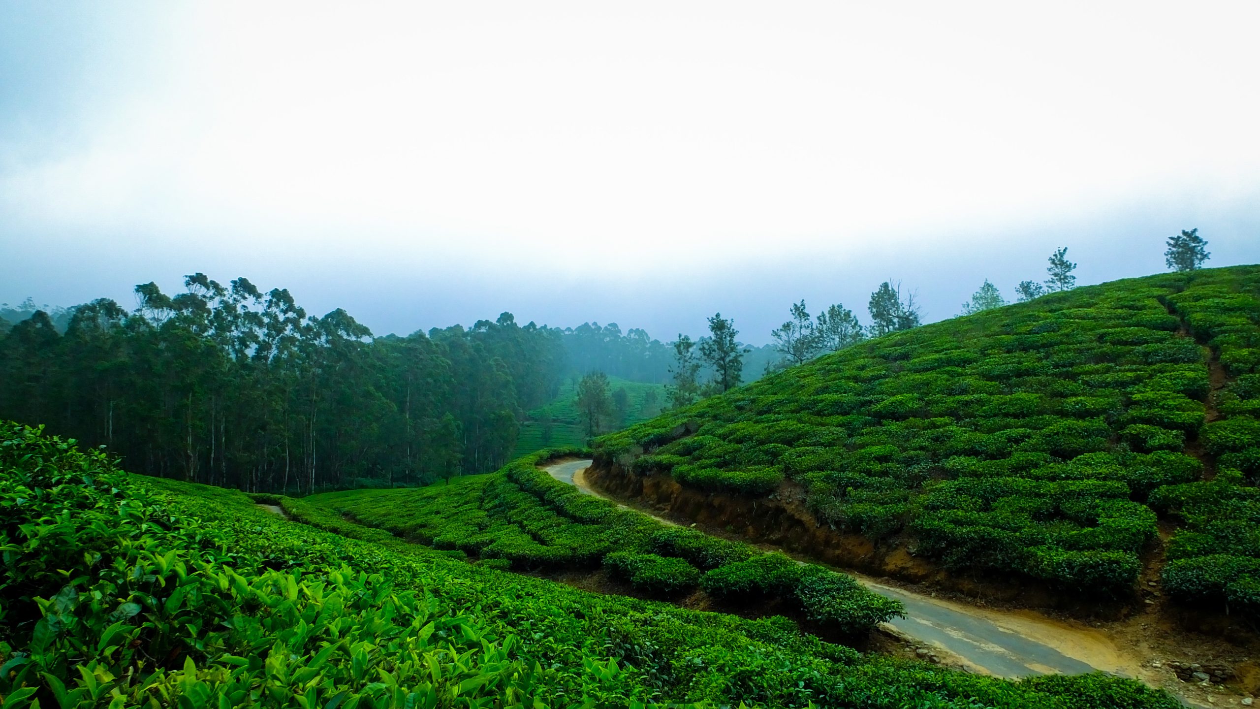Assam Meghalaya Tour Package And Packages||carrnival trips