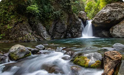 Top Meghalaya Family Tour Packages