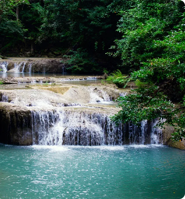 Best Meghalaya Travel Agency