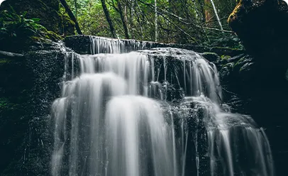 Top Meghalaya Travel Package