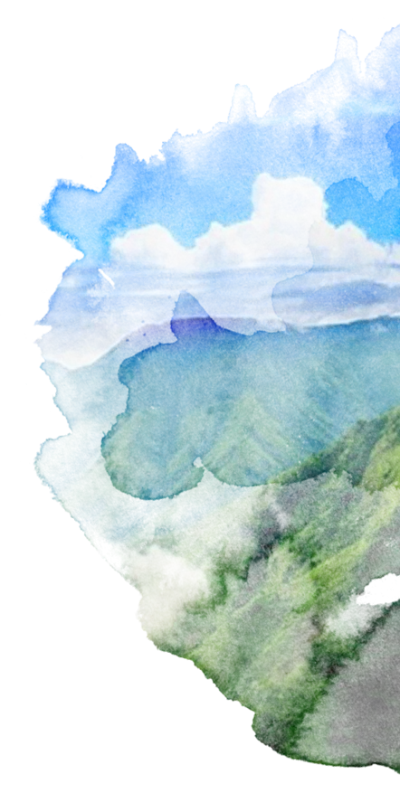 Trip To Meghalaya Cost